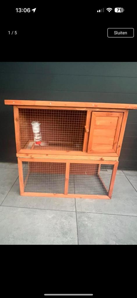 Konijn met kooi, Dieren en Toebehoren, Knaagdieren en Konijnen | Hokken en Kooien, Nieuw, Kooi, Minder dan 60 cm, Konijn, Ophalen