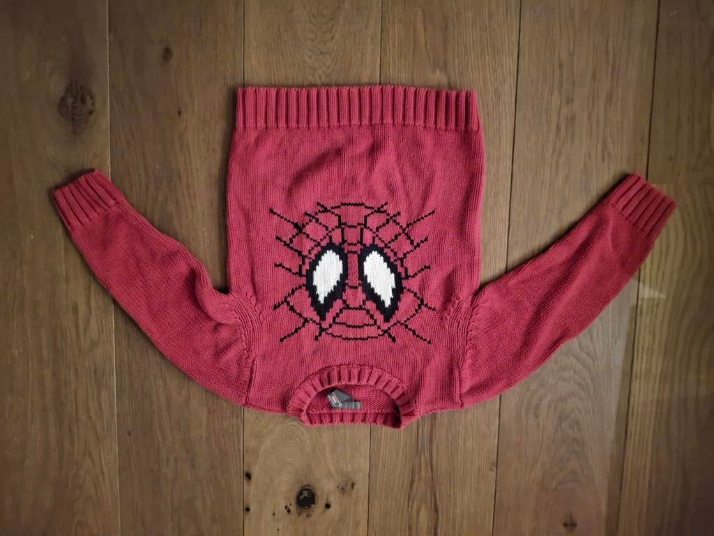 Spiderman trui 110., Gebruikt, Trui of Vest, H&M, Ophalen of Verzenden