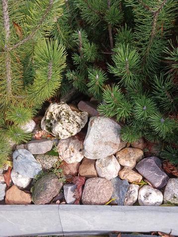 Veldkeien  beschikbaar voor biedingen