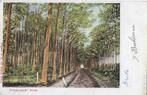 Ulvenhout ulvenhoutsche bosch oude ansichtkaart (1329 ), Verzamelen, Ansichtkaarten | Nederland, Ophalen of Verzenden