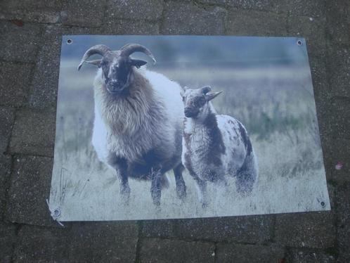 tuin poster geschikt voor buiten of binnen, Tuin en Terras, Tuinwanddecoratie, Nieuw, Ophalen of Verzenden