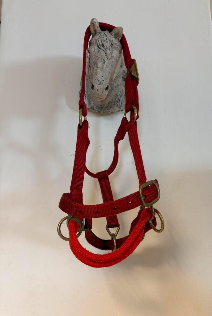MONTY ROBERTS Trainingshalster ROOD Pony/Cob HALSTER!, Dieren en Toebehoren, Paarden en Pony's | Hoofdstellen en Tuigage, Zo goed als nieuw