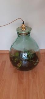 Grote Ecosysteem/planten /flessentuin met lamp, Huis en Inrichting, Kamerplanten, Ophalen, Overige soorten, Minder dan 100 cm