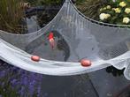 Koi karper koinet koi sleepnet, Karper of Koi