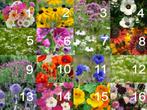 Prachtige Bloemen Zaden – Cosmea, Zinnia, Korenbloem etc.., Verzenden, Voorjaar, Volle zon, Zaad