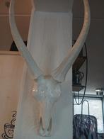 Geweij, Ophalen of Verzenden