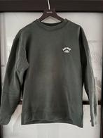 Donkergroene trui Anti Blue - maat S incl leuke rugopdruk, Kleding | Heren, Truien en Vesten, Verzenden, Zo goed als nieuw, Groen