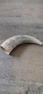 Mooie hoorn, lengte 25 cm, Ophalen of Verzenden, Zo goed als nieuw