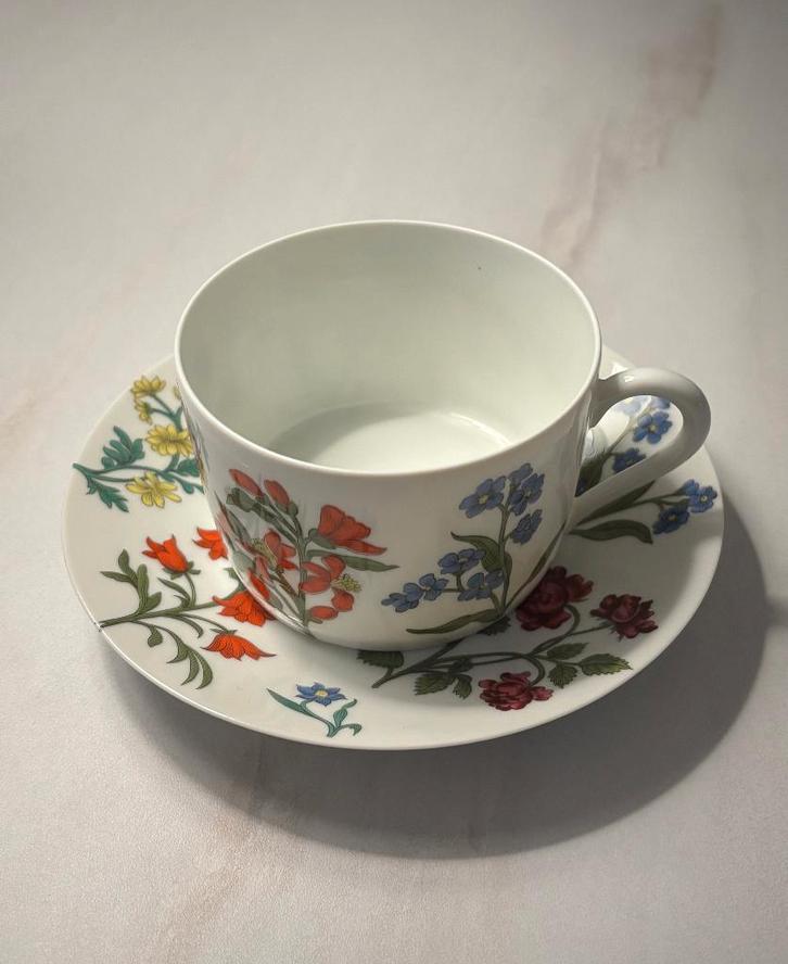 Porcelaine de Paris ‘Herbier’ – Limoges topkwaliteit, Huis en Inrichting, Keuken | Servies, Zo goed als nieuw, Kop(pen) en/of Schotel(s)