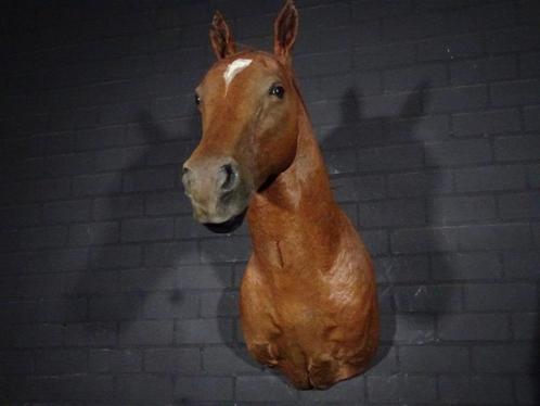 opgezette paardenhoofden taxidermy horse opgezette, Verzamelen, Dierenverzamelingen, Gebruikt, Gewei of Kop, Hert, Ophalen