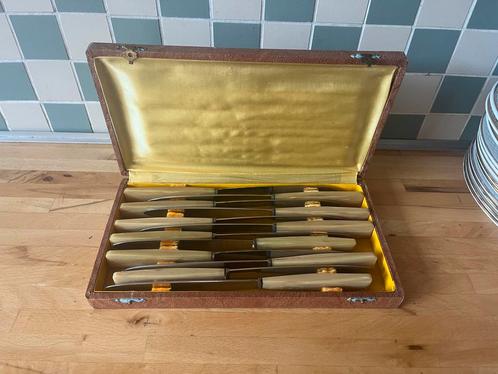 12 Vintage Messenset Frans met mooie heften en in luxe doos, Antiek en Kunst, Antiek | Bestek, Ophalen of Verzenden