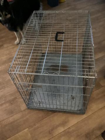 Stevige Bench, hond, middel-groot beschikbaar voor biedingen