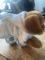 honden trui, Dieren en Toebehoren, Ophalen, Nieuw, Hondentrui