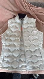 Calvin klein bodywarmer maar 42 NIEUW!, Ophalen, Zo goed als nieuw, Maat 42/44 (L), Zwart