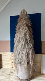 5 grote pluimen, Ophalen, Zo goed als nieuw