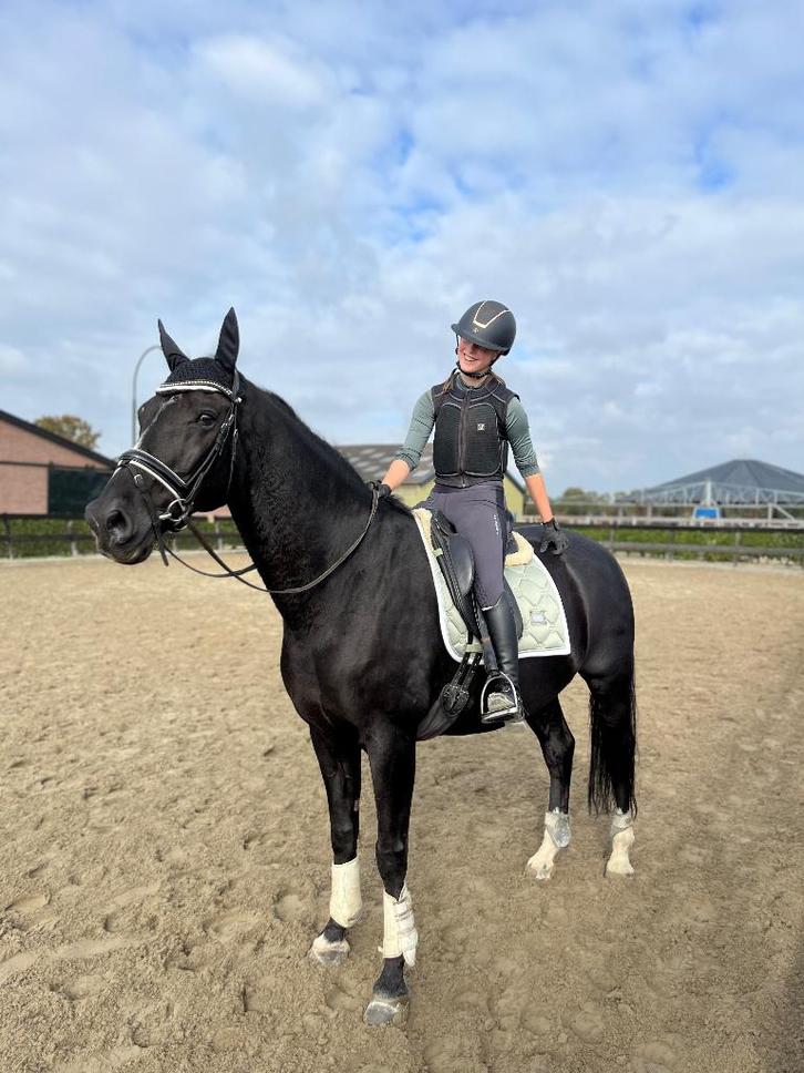 Verzorger aangeboden / verzorg paard/pony gezocht, Dieren en Toebehoren, Paarden en Pony's | Verzorgingsproducten, Nieuw, Ophalen of Verzenden