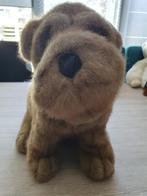 pluche hond, Ophalen of Verzenden, Zo goed als nieuw, Hond