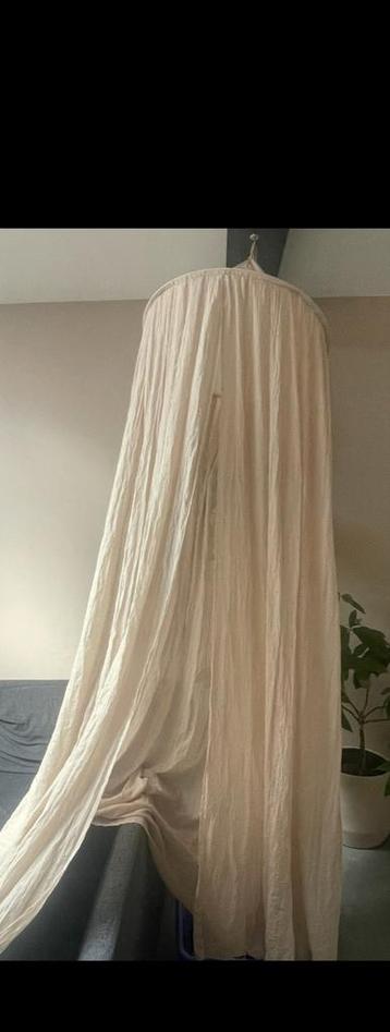 Zandkleurige Klamboe beschikbaar voor biedingen