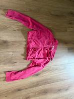 MNG Blouse - Maat L - Roze, Ophalen of Verzenden, Gedragen, Maat 42/44 (L), Roze