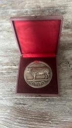 Medaille/munt, Postzegels en Munten, Penningen en Medailles, Ophalen of Verzenden, Overige materialen