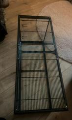 Glazen terrarium 80x 30, Dieren en Toebehoren, Zo goed als nieuw, 75 tot 110 cm, Ophalen, Minder dan 60 cm