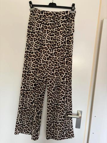 Luipaard broek beschikbaar voor biedingen