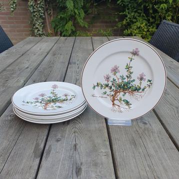 Villeroy & Boch Botanica ontbijtborden Set 5x  beschikbaar voor biedingen