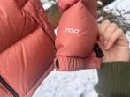 North Face Retro 700 donsjas - Goede staat, Ophalen of Verzenden, Gedragen, Maat 34 (XS) of kleiner, Roze
