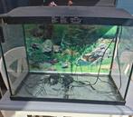 Aquarium 60 liter, Dieren en Toebehoren, Ophalen, Zo goed als nieuw, Leeg aquarium