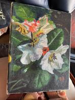 Bloemen Schilderijtje - Olieverf Witte Bloemen, Ophalen of Verzenden