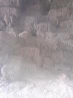 Hooi te koop, Dieren en Toebehoren, Overige Dieren, Januari, Mannelijk