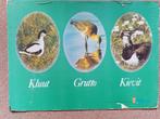 Oude schoolplaat Kluut Grutto Kievit, Ophalen of Verzenden, Natuur en Biologie