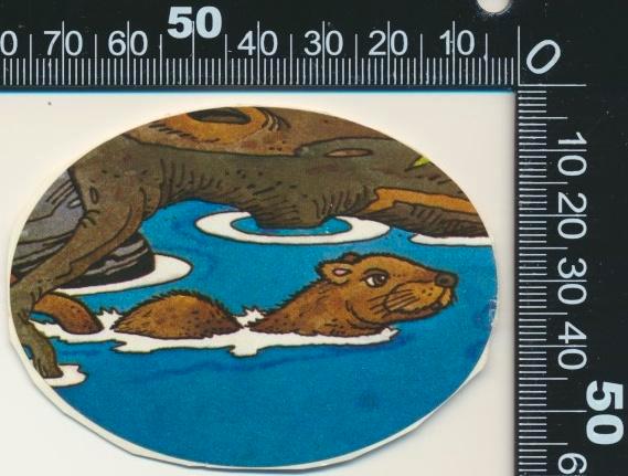 Sticker: Otter (2), Verzamelen, Stickers, Zo goed als nieuw, Dier en Natuur, Ophalen of Verzenden
