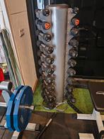 Dumbelll toren (professionele kwaliteit) met dumbells, Sport en Fitness, Fitnessmaterialen, Ophalen, Zo goed als nieuw, Dumbbell