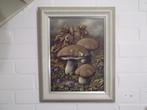 Schilderij Paddenstoelen. Paddestoelen. Gesign. Kees Houtman, Verzenden