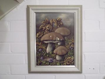 Schilderij Paddenstoelen. Paddestoelen. Gesign. Kees Houtman beschikbaar voor biedingen