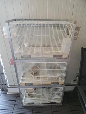 3 broedkooien in aluminium standaard  beschikbaar voor biedingen