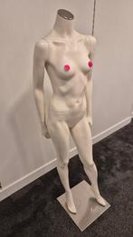 Etalagepop Model B - Paspop Kledingpop Vrouwelijk Dames, Ophalen, Gebruikt, Paspop