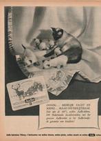 Retro reclame 1954 AaBe wollen dekens zacht als kittens, Verzamelen, Verzenden, Overige typen