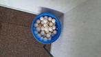 tafelvoetbal ballen, Ophalen of Verzenden, Gebruikt