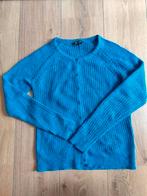King Louie wollen vestje M/L, Kleding | Dames, King Louie, Ophalen of Verzenden, Maat 38/40 (M), Blauw