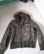 Mooie gebreide trui van het merk; punkyfish. Kleur donker -e, Maat 38/40 (M), Ophalen of Verzenden, Groen, Moscow