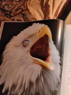 Arenden, prachtige foto's en beschrijvingen, Dieren en Toebehoren, Meerdere dieren, Tropenvogel