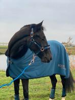 Equestrian stockholm showdeken 6.6, Dieren en Toebehoren, Paarden en Pony's | Dekens en Dekjes, Ophalen of Verzenden, Zo goed als nieuw