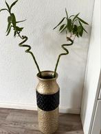 Vaas met plant, Huis en Inrichting, Woonaccessoires | Vazen, Ophalen of Verzenden, Nieuw