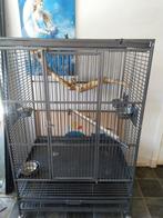 Vogelkooi, Dieren en Toebehoren, Vogels | Hokken en Kooien, Ophalen of Verzenden, Zo goed als nieuw, Metaal, Vogelkooi