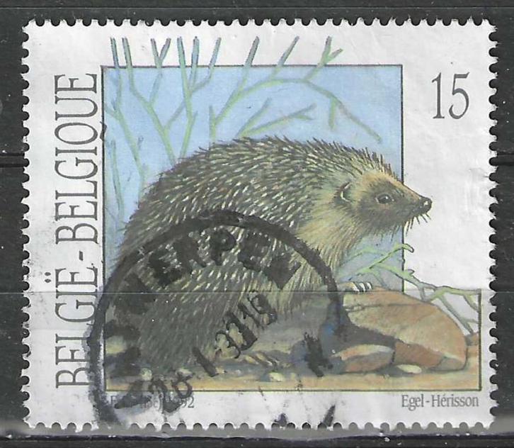 Belgie 1992 - Yvert/OBP 2479 - Egel (ST), Postzegels en Munten, Postzegels | Europa | België, Gestempeld, Verzenden