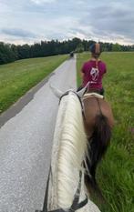 Bijrijder/verzorger aangeboden, Ophalen of Verzenden, Nieuw