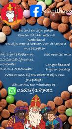Sint op bezoek, Ophalen of Verzenden, Nieuw