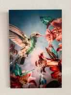 Wanddecoratie Kolibrie 60 x 90, Ophalen